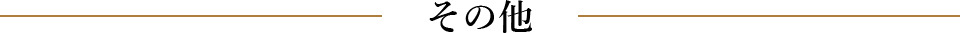 その他